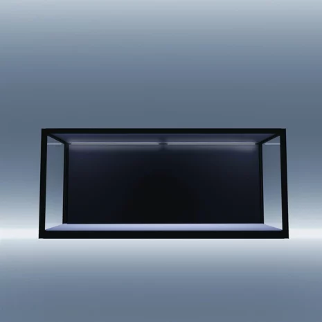 sx110 1