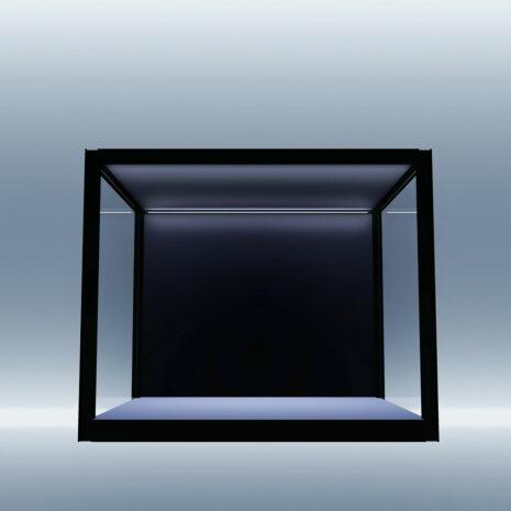 sx55 1