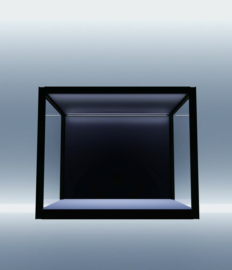 sx55 1